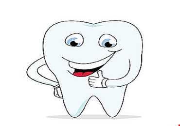 Răng có thể tự lành được không? - Can Teeth Heal Themselves?